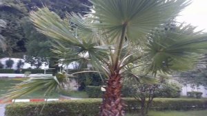 Санаторий  "АКВАЛОО" в Лоо(Сочи) в районе" ГОРНЫЙ ВОЗДУХ".