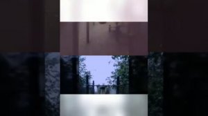 Спортивная девочка Бицепс Спортивная гимнастика Накаченная девочка