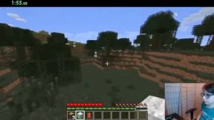 WATCH THIS MINECRAFT VIDEO!!!!!!! Java edition 1.0.0 in 2021