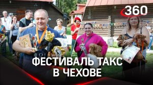 Всероссийский фестиваль «Таксы Чехова» прошёл в Подмосковье