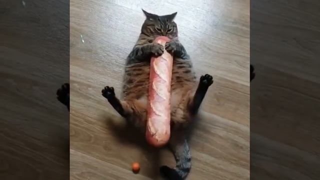 "Таити, Таити, не были мы ни в какой Таити, нас и здесь не плохо кормят"/приколы 2022 смотреть онлайн