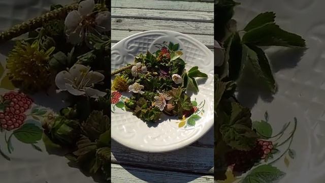 Первые полезные растения с дачи!