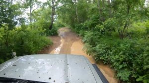 Пробный выезд на Streamstone Crossmaxx, лес только после дождя.