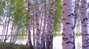 Три главных вопроса. Святитель Николай Сербский.