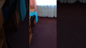 САМЫЙ ДЕШЁВЫЙ НОМЕР ОТЕЛЯ. КУРГАН.