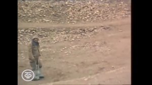 Александр Дорошенко - Афган, Афганистан