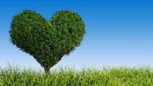 А.В.Клюев - Страх или всё Живое Трепетное с Духом связанное смотреть онлайн