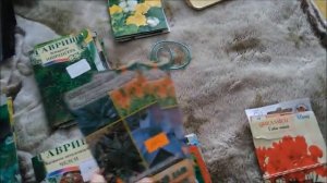 Комнатные растения выращенные из семян