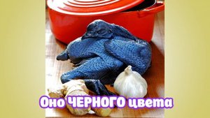 Мясо у куриц - черное, а сами они пушистые и мягкие