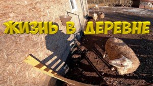 Сделал первые ворота в загоне. [Жизнь в деревне]