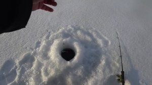 Рыбалка в заливе Гелоть Братского водохранилища. Окунь на балансир. Выезд Нового года !!!