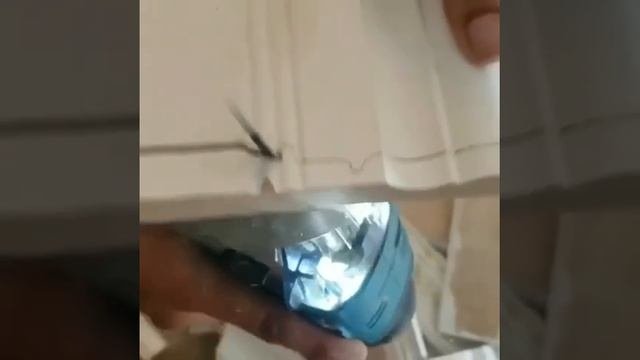 Идеальный срез