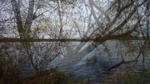 ТУЛЬСКИЕ ЗАРИСОВКИ (ч.3. Гамово) - (Фото из альбома Николая Будина (Тула))