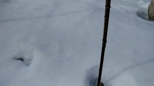 Навес не выдержал снега, упал.