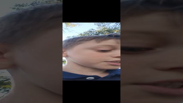 Я и родной город Сортавала смотреть онлайн