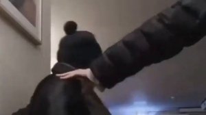 Vjlink Тварь (remix)