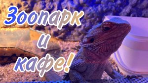 Зоопарк и кафе!?
