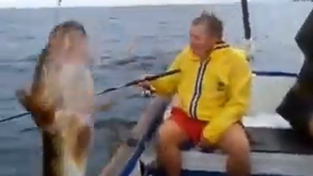 Смотреть "Одним Глазком..." Ч.2 - Ловля Спиннингом На Пилькеры В Оаэ. - Пилькеры Для Морской Рыбалк