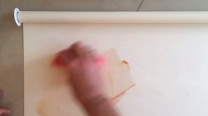 Как чистить рулонные шторы
