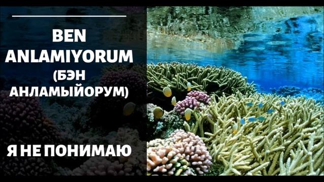 ОСНОВНЫЕ ФРАЗЫ. ТУРЕЦКИЙ СЛОВАРЬ. ТУРЕЦКО - РУССКИЙ СЛОВАРЬ. ТУРЕЦКИЙ ЯЗЫК ДЛЯ НАЧИНАЮЩИХ