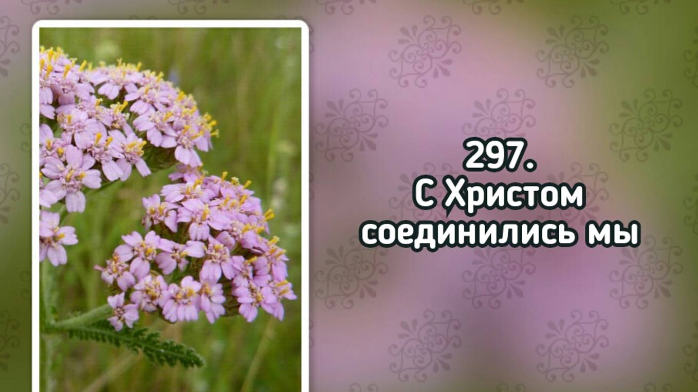 Гимны надежды 297 С Христом соединились мы (-)