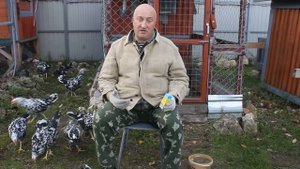 ПРИДУРКИ В КУРОВОДСТВЕ.