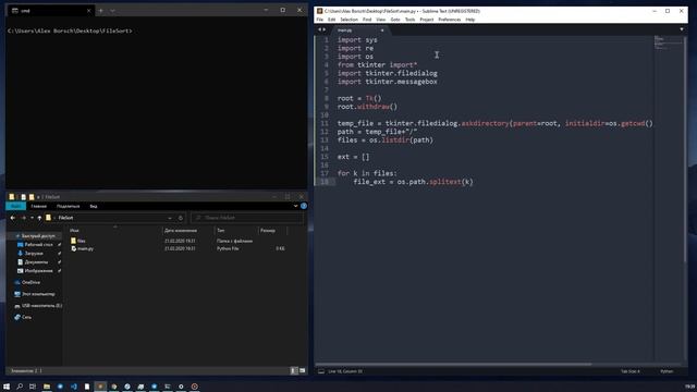 СОРТИРУЕМ ФАЙЛЫ ПО РАСШИРЕНИЮ В PYTHON смотреть онлайн