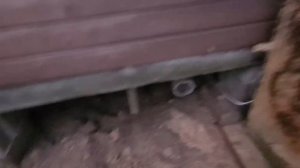 Септик для дачи с дренажным колодцем. #септик #водоснабжение #канализация