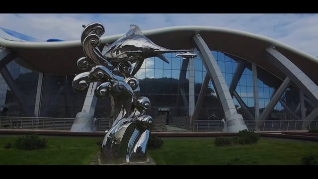 Приморский океанариум - это история о море смотреть онлайн