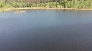 Щепкино болото