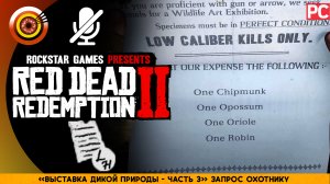 «Выставка дикой природы - №3» Запрос охотнику | Прохождение RDR 2 на Золото 🏆 Без комментариев