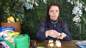 ЭТО НЕВЕРОЯТНО! Огурцы в яичной скорлупе