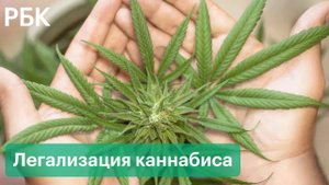 Мальта легализовала марихуану, но только в личных целях. Каннабис можно выращивать и употреблять