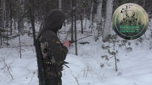Выходные в угодьях , охота с лайками , разведка территории , есть ли рыба в реке .