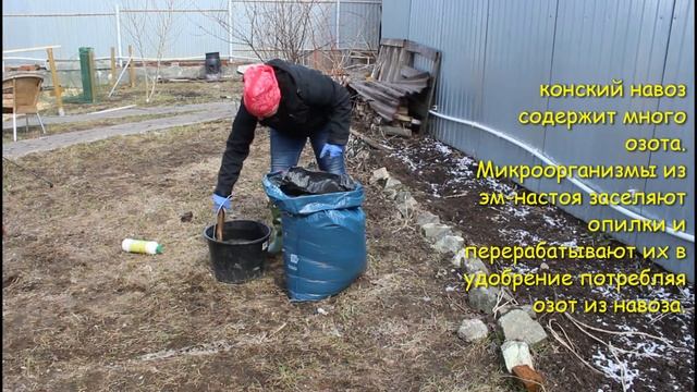 Как опилки улучшают почву и жизнь огородника. Что сделать с опилками перед внесением в грядку. смотреть онлайн