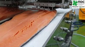 Пин бон машина для удаления вилочковых костей у красных пород рыбы - кета, лосось, кижуч и прочие