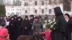 "Будь со мной" (музыка Евгения Крылатова, слова Юрия Энтина)