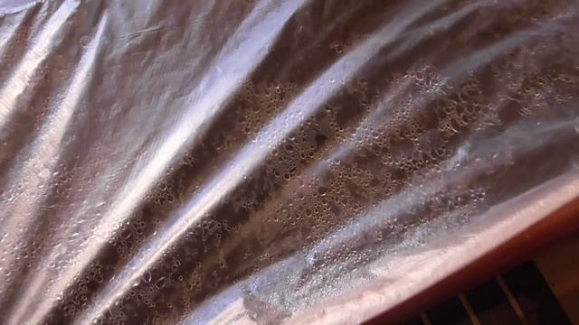 Посев томатов и перцев. Как сделать своими руками "теплый пол" для подогрева посевов перца и томатов