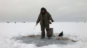 Навага на иглы 2021год 13 января