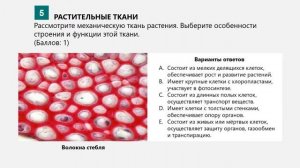 Биология 8 класс. Лабораторная работа №1-2. Классификация тканей растений и животных