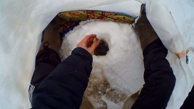 ОПАРЫШ С ЧЕСНОКОМ! ТЕСТ НА ОКУНЕ! Ловля на МОРМЫШКУ на зимней рыбалке.