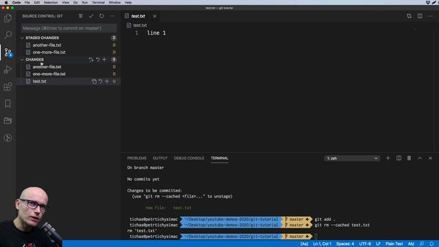 The basics of Git. Learn the basic Git commands.