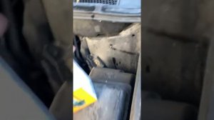 Замена ксенона в линзе на Lexus RX