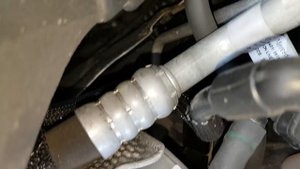 Как вычислить ПОДПОЛЬНЫЙ АВТОСАЛОН? Королева Перекупов в КРАСНОМ - 2