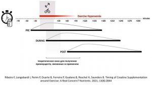 КОГДА ПИТЬ КРЕАТИН ДО ИЛИ ПОСЛЕ ТРЕНИРОВКИ?