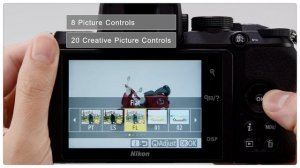 Nikon Z 50 Tutorial: Get the results you want - Picture controls