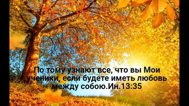 Надо мною лист кружится смотреть онлайн