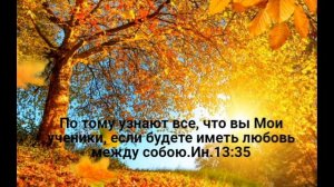 Надо мною лист кружится