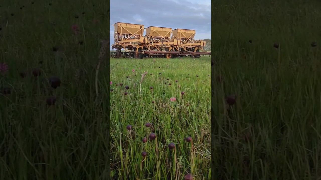 ну разве не красота???? смотреть онлайн