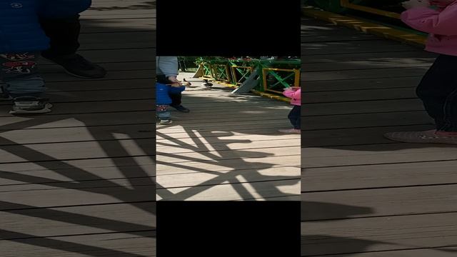 Медведевском мини зоопарк смотреть онлайн